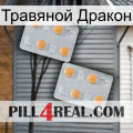 Травяной Дракон 25